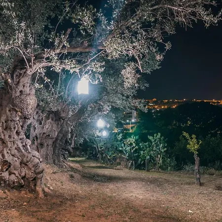 La Casa Di Zeus بيت للعطل